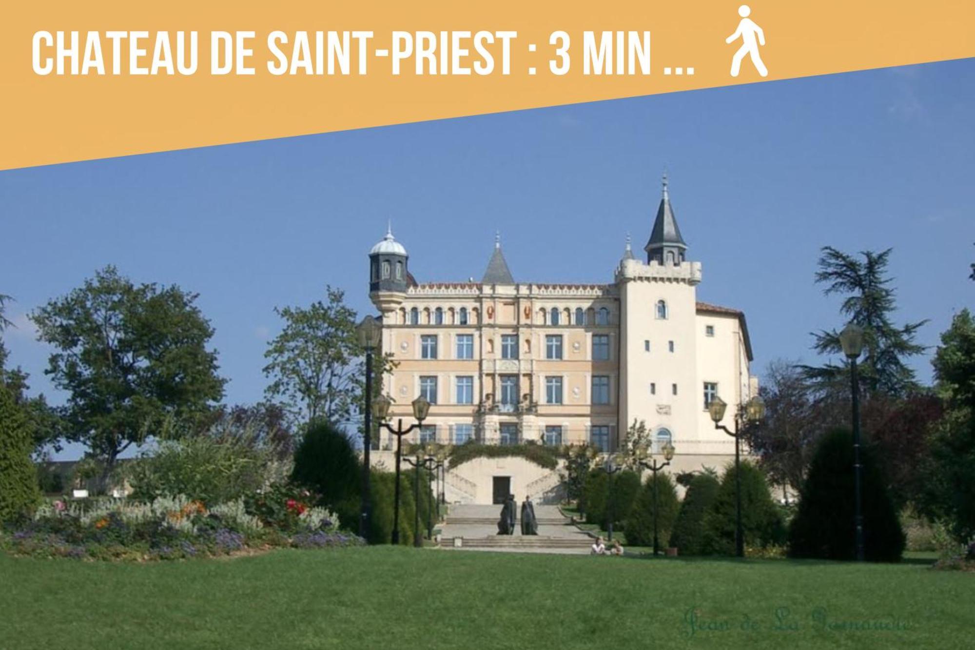 Appartement Les Allées du Château, proche Lyon Eurexpo Stade Saint-Priest  Esterno foto